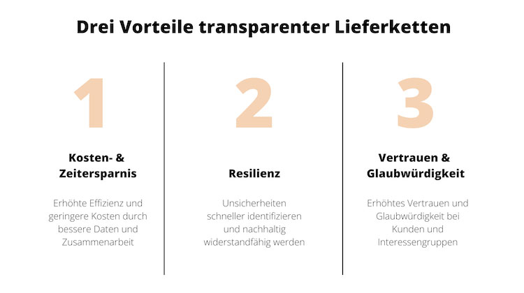 Infografik, die drei Hauptvorteile transparenter Lieferketten darstellt: Kosten- und Zeiteinsparungen, Resilienz sowie Vertrauen und Glaubwürdigkeit.